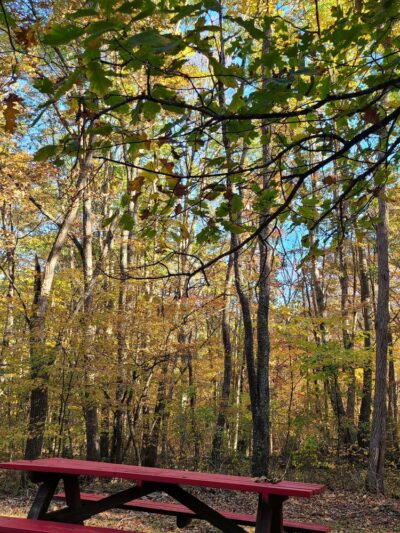 Glenwood Park Shelter #9 - Princeton, WV