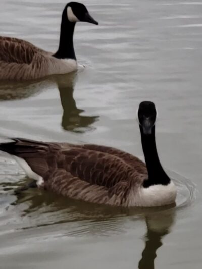 Glenwood Recreational Park - Princeton, WV