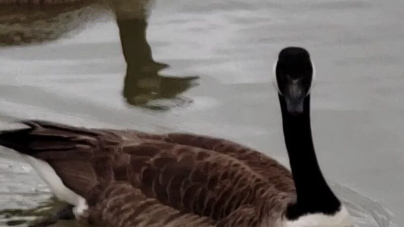 Glenwood Recreational Park - Princeton, WV