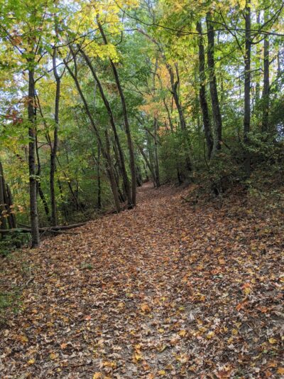 Princeton City Park - Princeton, WV