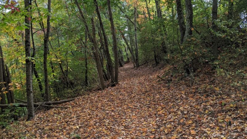 Princeton City Park - Princeton, WV