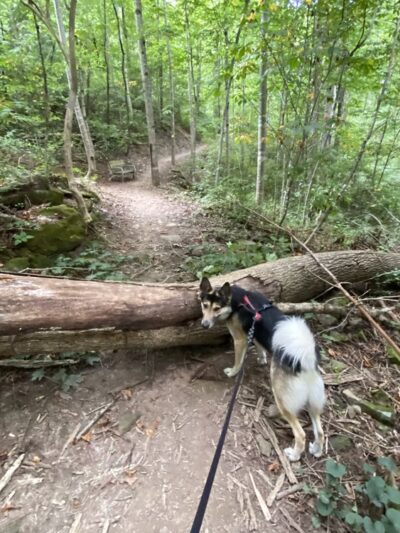 Princeton City Park - Princeton, WV
