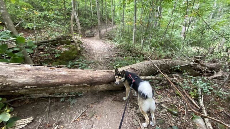 Princeton City Park - Princeton, WV