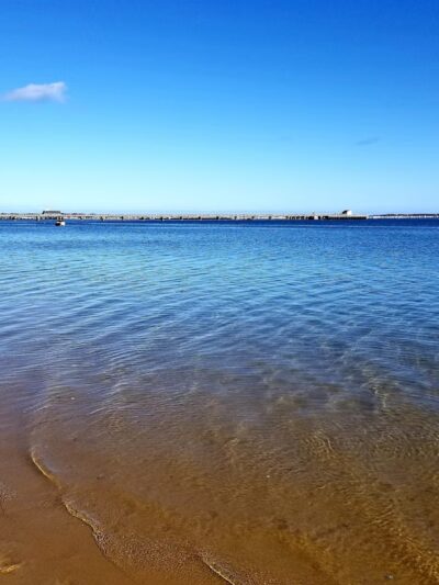 Dog Beach - Provincetown, MA