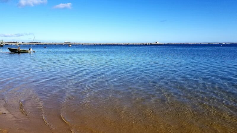 Dog Beach - Provincetown, MA