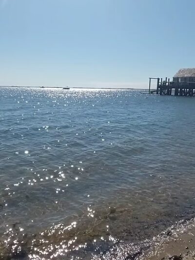 Dog Beach - Provincetown, MA