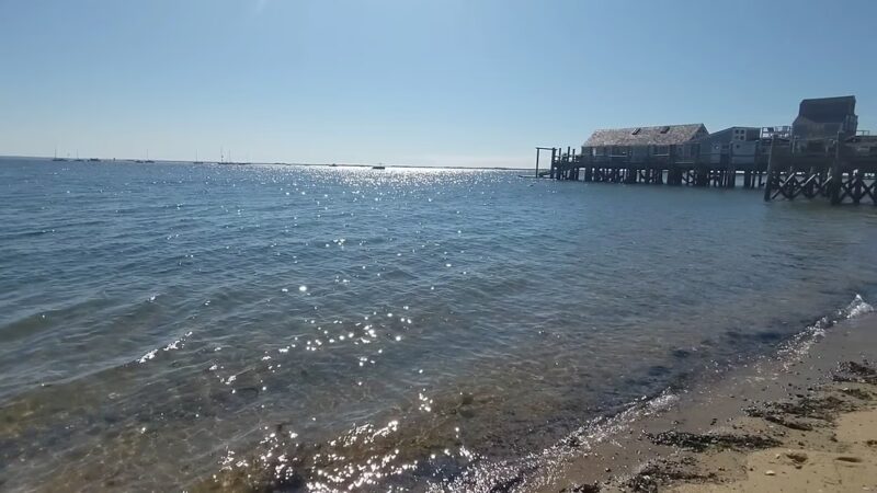 Dog Beach - Provincetown, MA