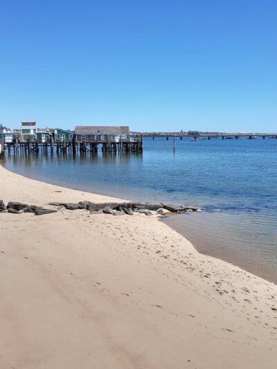 Dog Beach - Provincetown, MA