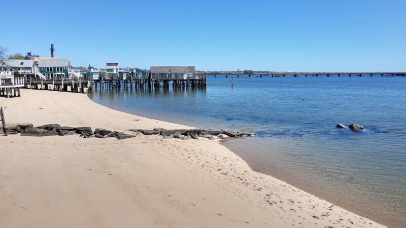 Dog Beach - Provincetown, MA