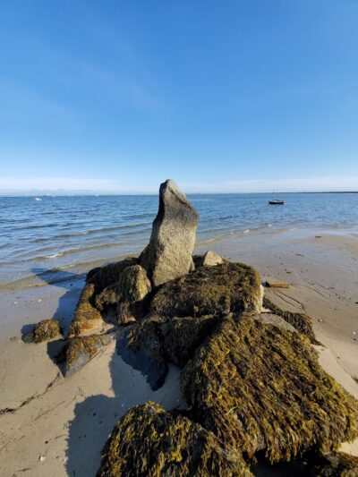 Dog Beach - Provincetown, MA