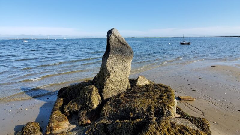 Dog Beach - Provincetown, MA