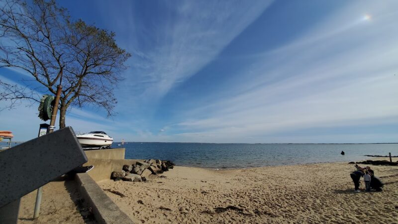 Dog Beach - Provincetown, MA