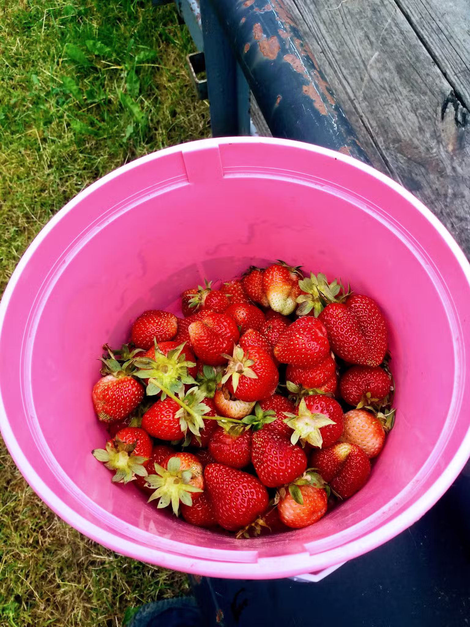 Deer Creek Flea Market & Campground - Pulaski, NY