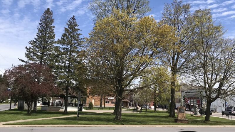 Pulaski Village South Park - Pulaski, NY
