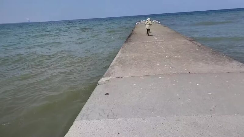 Selkirk Shores State Park - Pulaski, NY