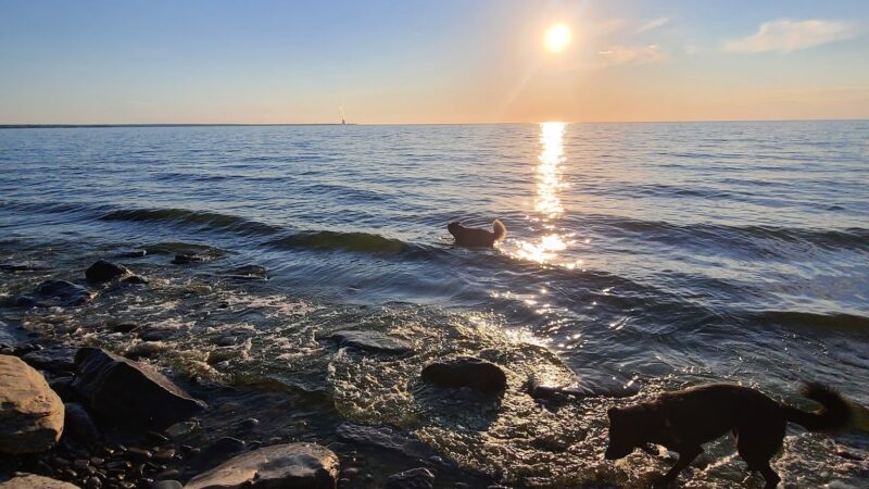 Selkirk Shores State Park - Pulaski, NY