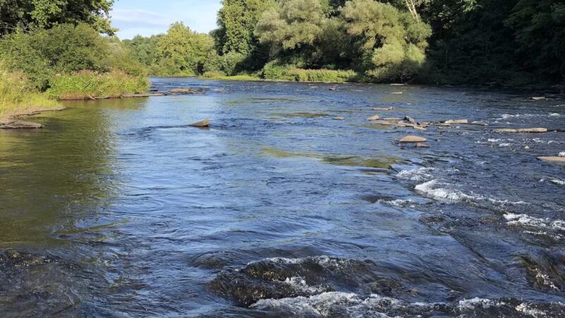 Sportsmans Paradise LLC - Pulaski, NY