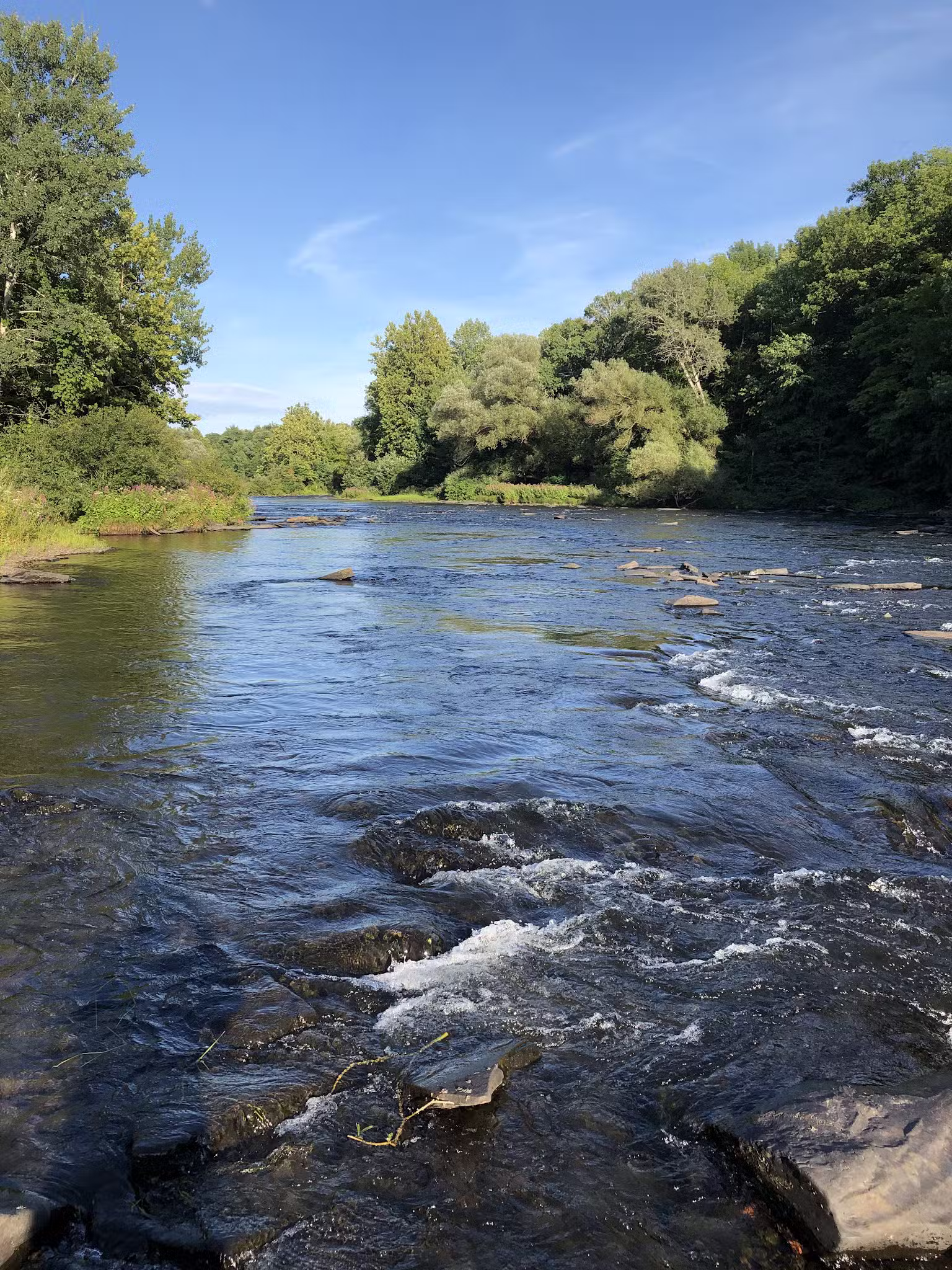 Sportsmans Paradise LLC - Pulaski, NY