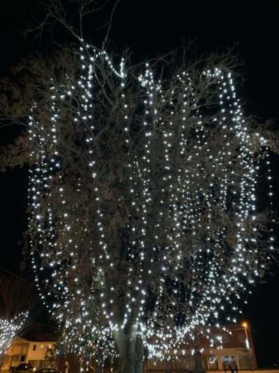 Jackson Park - Pulaski, VA