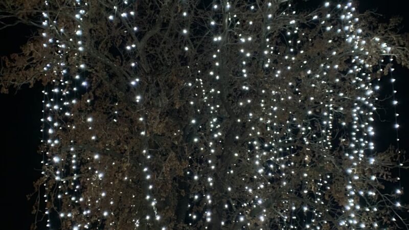 Jackson Park - Pulaski, VA