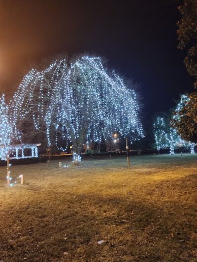 Jackson Park - Pulaski, VA