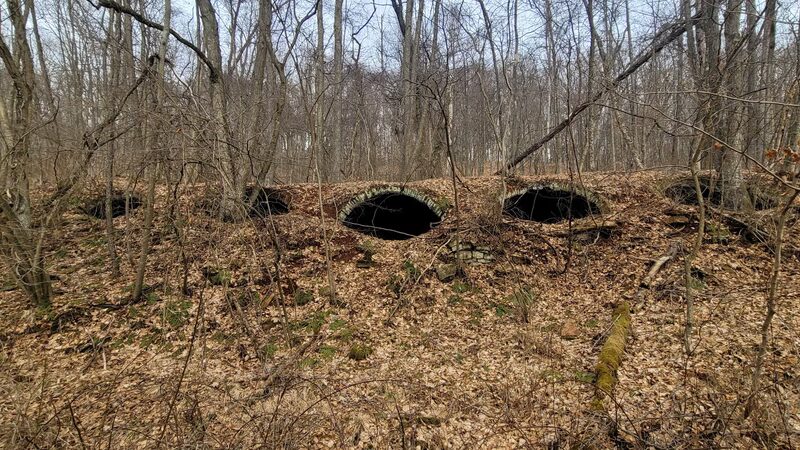 Mahoning Shadow Trail trailhead - Punxsutawney, PA