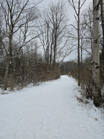 Mahoning Shadow Trail trailhead - Punxsutawney, PA