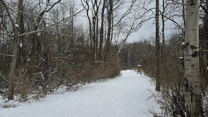 Mahoning Shadow Trail trailhead - Punxsutawney, PA