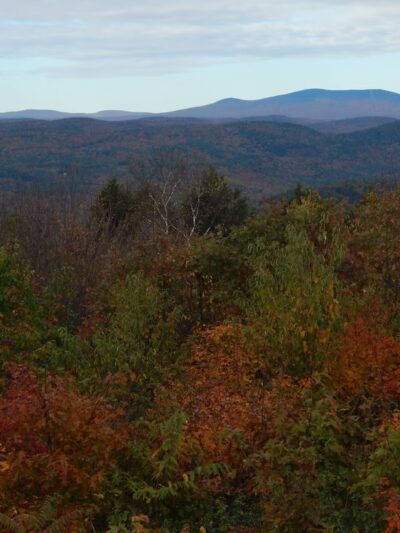 Putney Mountain Trailhead - Putney, VT