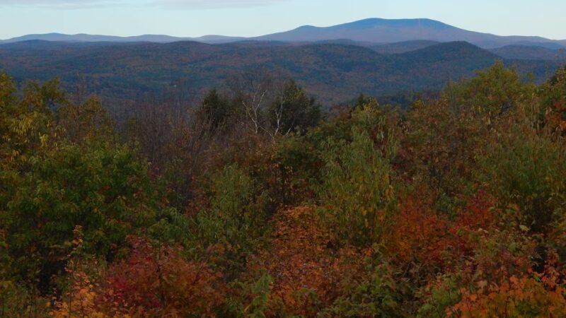 Putney Mountain Trailhead - Putney, VT