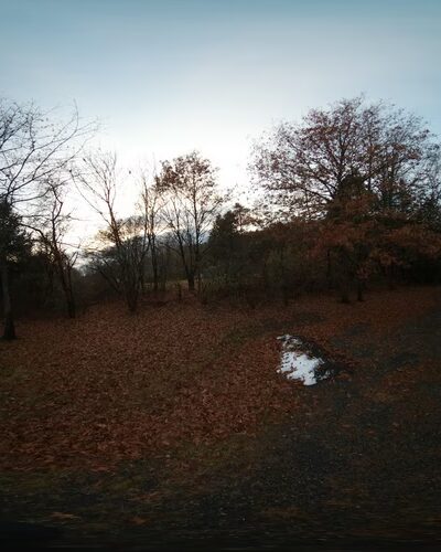 Yellow Barn - Putney, VT