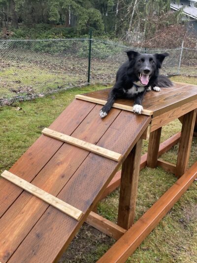 Sammy's Safe Spot, LLC - Puyallup, WA