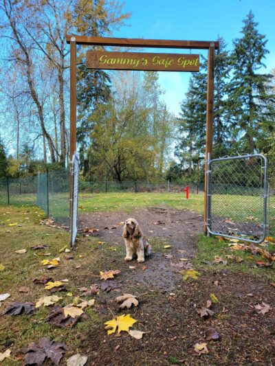 Sammy's Safe Spot, LLC - Puyallup, WA