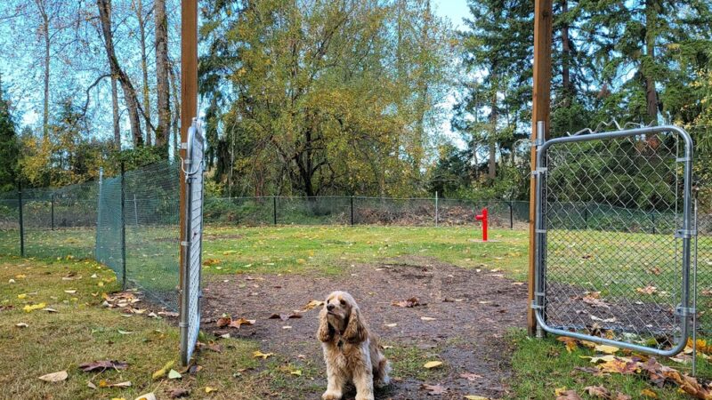 Sammy's Safe Spot, LLC - Puyallup, WA