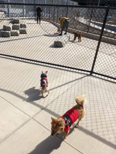 Sven Park - Queens, NY