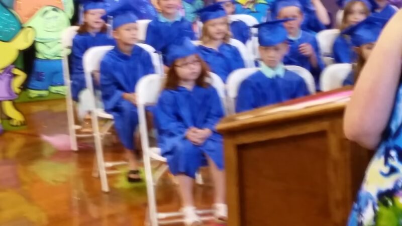 Qulin Lion's Park - Qulin, MO