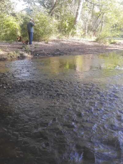 Caledonia Dog Park, Dog Beach Area 1 - Racine, WI