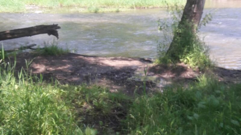 Caledonia Dog Park, Dog water Landing 1 - Racine, WI