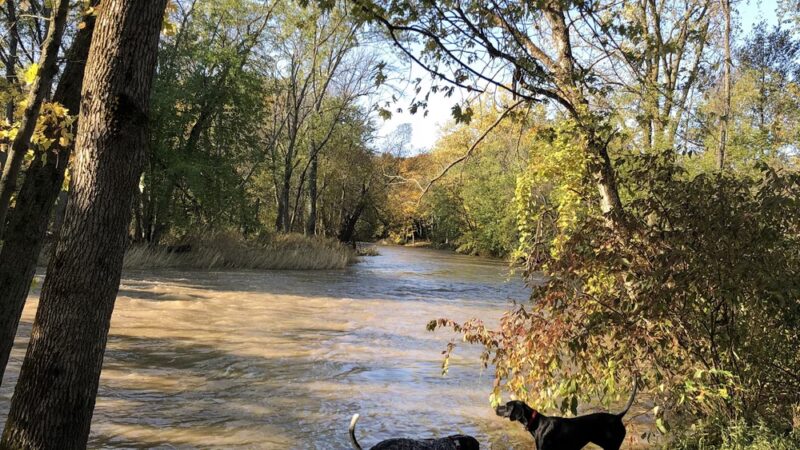 Caledonia Dog Park, dog water landing 2 - Racine, WI