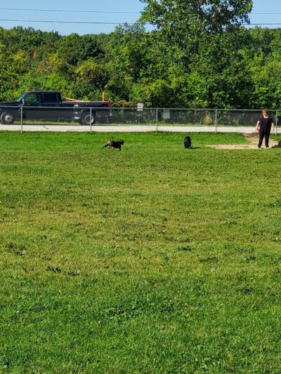 Karen A. Nelson Memorial Dog Park - Racine, WI