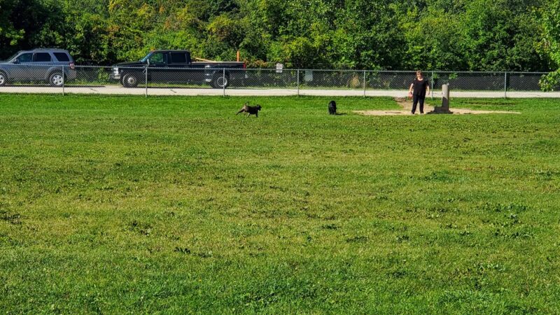 Karen A. Nelson Memorial Dog Park - Racine, WI