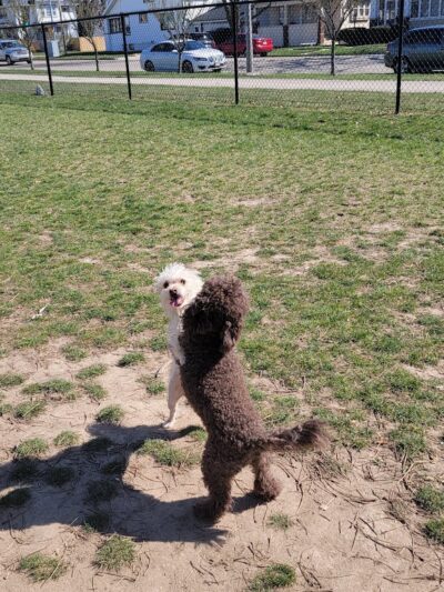 N. Owen Davies Park - Racine, WI