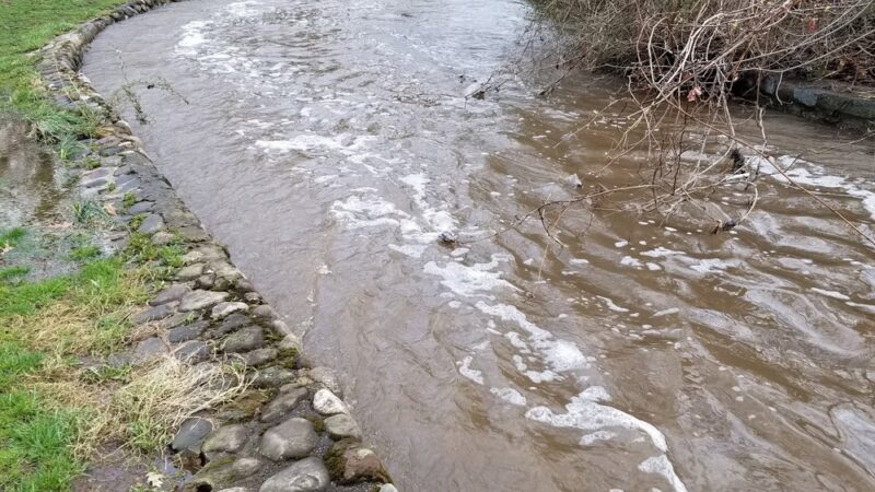 Milton Lake Park - Rahway, NJ