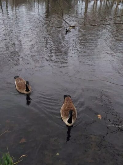 Waterfront Park - Rahway, NJ