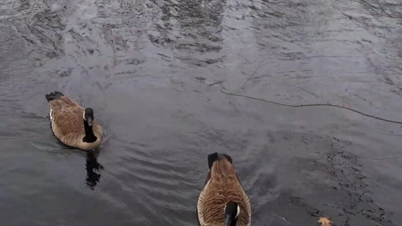 Waterfront Park - Rahway, NJ