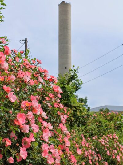 Waterfront Park - Rahway, NJ