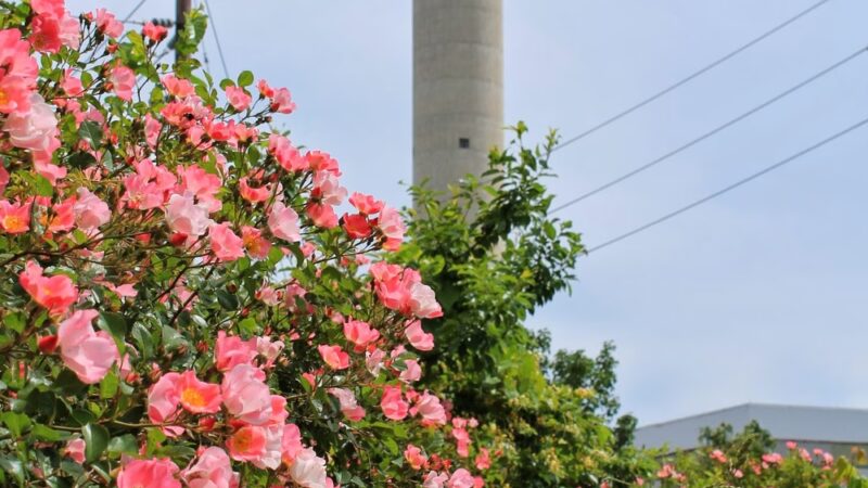 Waterfront Park - Rahway, NJ