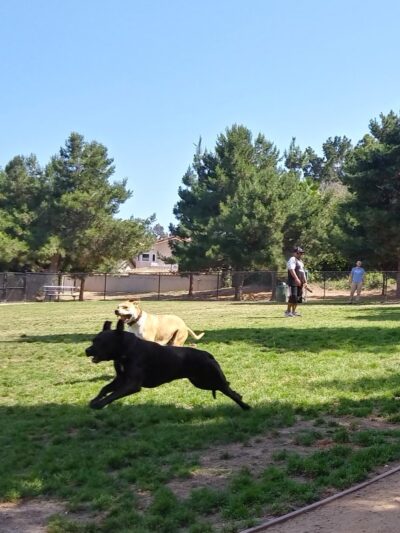 Eastview Park - Rancho Palos Verdes, CA