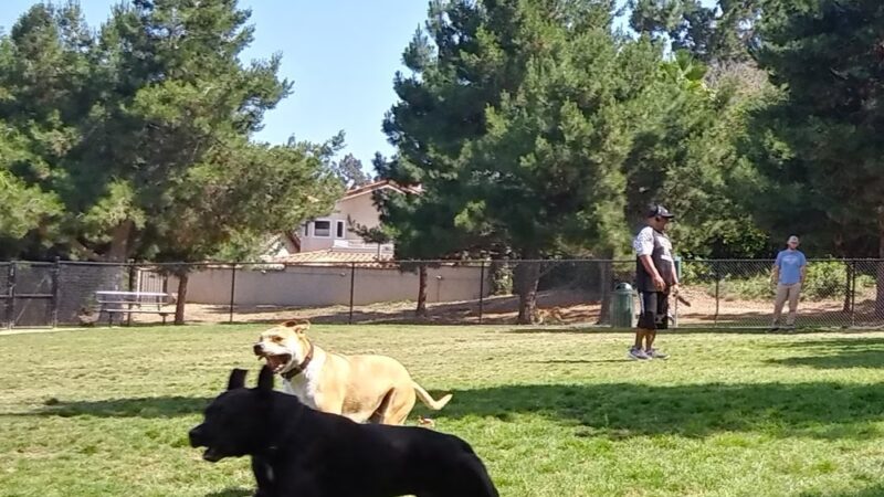 Eastview Park - Rancho Palos Verdes, CA