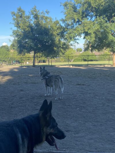 Eastview Park - Rancho Palos Verdes, CA